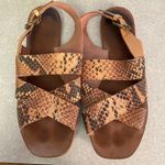 Madewell Snake Print Coastal Minimalist Preppy Modest Quiet Luxury Sanda… Photo 0