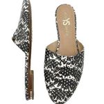 Yosi Samra Parker Mules Gray Snake Embossed Leather Open Back Flats Size 7 Black Photo 0