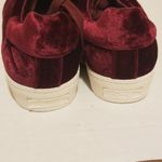 Circus by Sam Edelman Sam Edelman Shoes Sneakers Cranberry Velvet Shoe 8.5 Photo 7