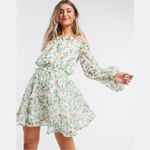 ASOS ✨ HP✨ DESIGN off shoulder mini dress in ditsy floral print✨ Photo 1