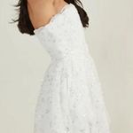 Altar'd State  Demi Embellished Mini Dress Photo 1