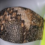 Staring At Stars Staring at‎ Stars Stretch Bandeau Top Photo 3