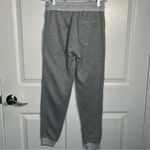 Faherty Seabrook Jogger Sz XS Gray French Terry Joggers Casual Photo 5