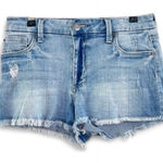 sts blue ‎ Distressed Denim Shorts Frayed Denim Jean Shorts Size 25 Thrashed Photo 0