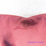 NEW Rhythm Free People Ring Itsy Bikini Bottom, size XL Red Photo 8