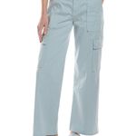 Hudson Jeans Hudson Women’s Cargo Pants Size 28 Light Grey Blue Wide Leg Stretch Cotton Photo 0
