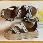 Bonnibel  Snakeskin Print Black & White Espadrilles Photo 0