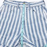 American Eagle  Mom Short Blue White Stripe High Waist Vintage 90s Style Size 00 Photo 6