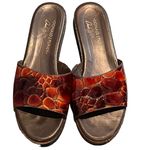 Donald J. Pliner Tortoise Leather Slides Size 6 Photo 1