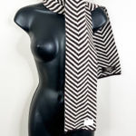 Coach Scarf Lambswool Angora Chevron Stripe Pattern Brown Cream Photo 0