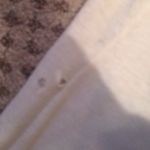 Heritage 1981 REBELS TANK TOP Photo 4