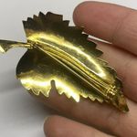 Pretty Women’s Costume Brooch Pin Gold Tone Leaf Photo 5