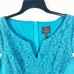 Adrianna Papell Cap Sleeves Front Back Lace Panel Exposed Back Zipper Dress 14 Photo 5