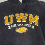 Champion  Black UWM Panthers Hoodie Photo 1