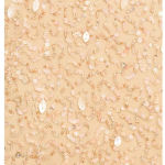 RETROFÊTE‎ Nikki Sequin Long Sleeve Minidress in Sea Shell Size Small NWT Tan Photo 15