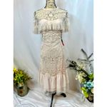 Mac Duggal Floral Embroidered Sheer Mesh Dress Blush 12 Photo 6