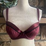 gilligan and o'malley -36B Bra Photo 0