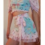 Dolls Kill x Holly Hobbie Floral Milkmaid Top and Mini Skirt Set Photo 6