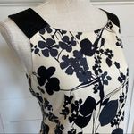 Maggy London  off white and black casual floral sheath dress sz 8 Photo 4