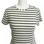 Banana Republic Striped Fitted Short Sleeve Top Photo 1