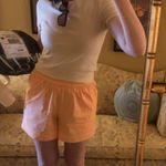 Olivaceous orange shorts Photo 3