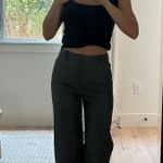 Babaton Aritzia  Pants Photo 2
