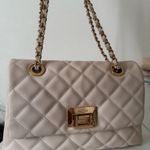 ALDO  Shoulder Bag Chain Photo 2
