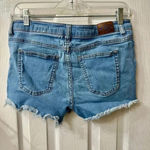 Wild Blue Women’s shorts Photo 1