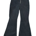 American Eagle  Women’s Corduroy Pants 16 Flare Button Fly Photo 0