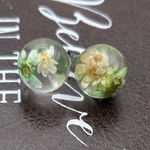 Handcrafted Dried Daisy Pressed Flower Earring Studs White Photo 3