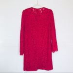 Devlin  Ruby Pink Bell Sleeve Lace Dress Photo 1