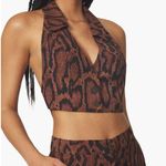 We Wore What NWT Bella Snakeskin Pattern Halter Crop Top Vest Waist Coat Brown szM Photo 7