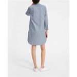 Everlane  The Cotton Shirt Dress‎ Size 2 Striped Blue White Photo 1