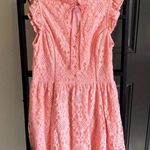 Disney  beauty and the beast pink lace flutter sleeve dress size medium Photo 0