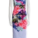Ted Baker Authentic Emore Bodycon Dress in Focus Bouquet Print Midi Size Small Photo 2