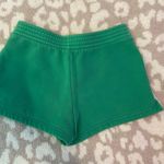 Arctix Aritzia Shorts  Photo 2