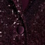 Mango Sequin Co-ord Blazer/Trouser set "Wine" This Holiday step up your Fashion in this stylish Wine Photo 3