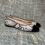French Sole FS/NY Irina Leather Ballet Flat in Black Acadia Gray Size 10 Photo 2