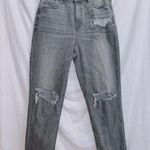 American Eagle  AE Gray Wash Denim High Waisted Mom Jean size 10 Photo 0