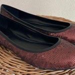 Banana Republic beautiful brown sequin ballet flats.9.5 Photo 0
