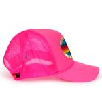 Aviator Nation  LA JOLLA TRUCKER HAT Photo 2