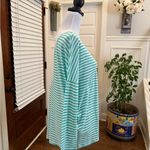 Orange Creek  NWT Mint Striped Daisy Detail Back Oversized Dolman Blouse Photo 3