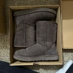 UGG  Classic Short Boots Photo 0