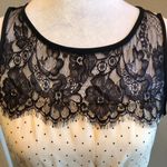 LC Lauren Conrad Lauren Conrad Dress Women’s Size 8 LC Photo 2