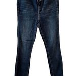 Pilcro and the Letterpress Pilcro Letterpress Anthropology High Rise Blue Jeans Size 29 Medium Wash Classic Photo 0