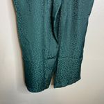 Skies Are Blue  Wide Leg Pant Size 1X Pull‎ On Satin Hunter Green Leopard NWT Photo 2