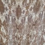 Greylin 💕💕 Silk Beaded Tank Top Photo 4