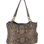 Coach Women’s Authentic Leather Exotic Python Studded Shoulder Bag Taupe Brown O Photo 0