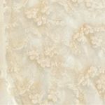 Delia's Delia’s Sheer Floral Sleeveless Button Down Shirt Cream Size Small Photo 2