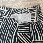 Ann Taylor Zebra Black & White Stripe Lined Skirt Photo 2
